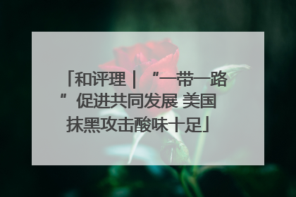 和评理｜“一带一路”促进共同发展 美国抹黑攻击酸味十足