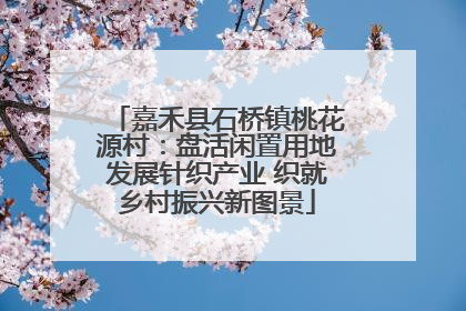 嘉禾县石桥镇桃花源村：盘活闲置用地发展针织产业 织就乡村振兴新图景