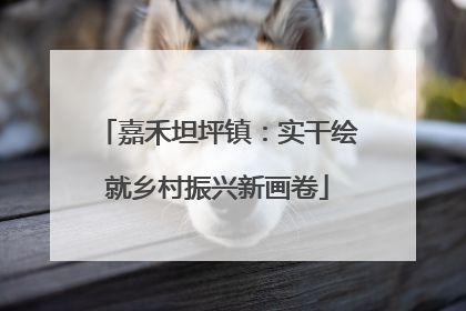 嘉禾坦坪镇：实干绘就乡村振兴新画卷