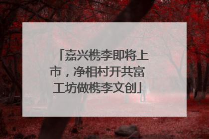 嘉兴槜李即将上市，净相村开共富工坊做槜李文创