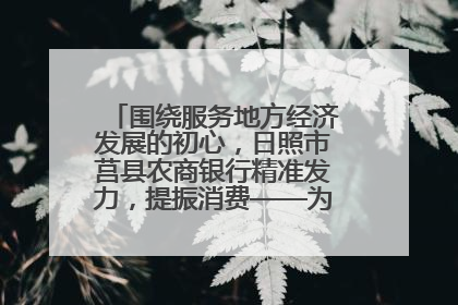 围绕服务地方经济发展的初心，日照市莒县农商银行精准发力，提振消费——为文旅注入金融动能