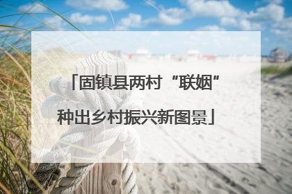 固镇县两村“联姻”种出乡村振兴新图景