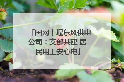 国网十堰东风供电公司：支部共建 居民用上安心电
