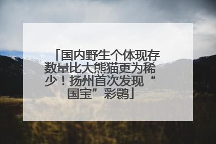 国内野生个体现存数量比大熊猫更为稀少！扬州首次发现“国宝”彩鹮