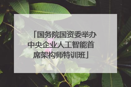 国务院国资委举办中央企业人工智能首席架构师特训班