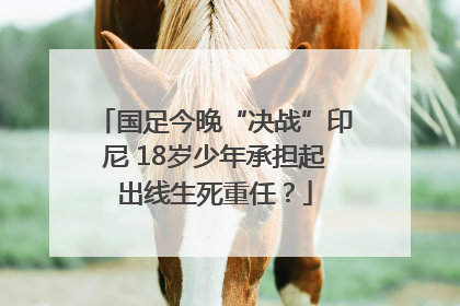 国足今晚“决战”印尼 18岁少年承担起出线生死重任？