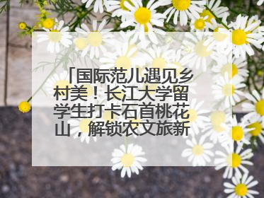 国际范儿遇见乡村美！长江大学留学生打卡石首桃花山，解锁农文旅新玩法！