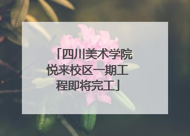 四川美术学院悦来校区一期工程即将完工