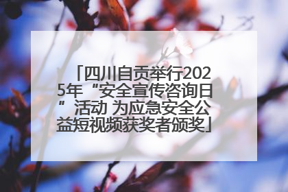 四川自贡举行2025年“安全宣传咨询日”活动 为应急安全公益短视频获奖者颁奖