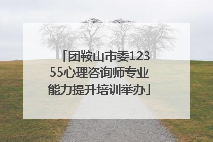 团鞍山市委12355心理咨询师专业能力提升培训举办