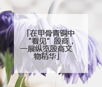 在甲骨青铜中“看见”殷商，一展纵览殷商文物精华