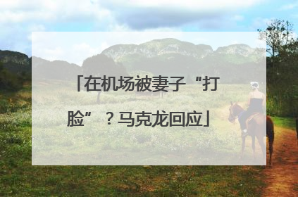在机场被妻子“打脸”？马克龙回应