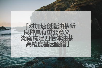 对加速创造油茶新良种具有重要意义 湖南构建四倍体油茶高精度基因图谱