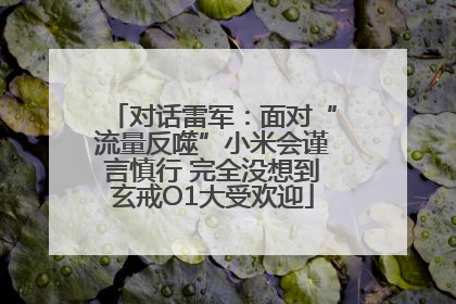 对话雷军：面对“流量反噬”小米会谨言慎行 完全没想到玄戒O1大受欢迎
