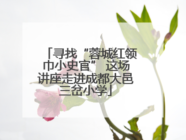 寻找“蓉城红领巾小史官” 这场讲座走进成都大邑三岔小学