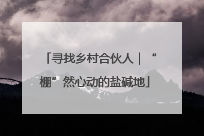 寻找乡村合伙人｜“棚”然心动的盐碱地