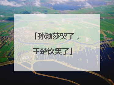 孙颖莎哭了，王楚钦笑了