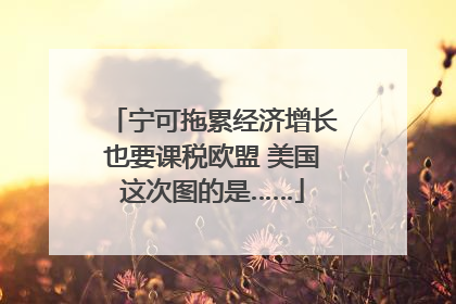 宁可拖累经济增长也要课税欧盟 美国这次图的是……