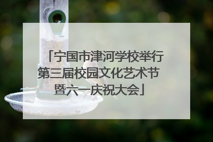 宁国市津河学校举行第三届校园文化艺术节暨六一庆祝大会
