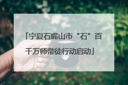 宁夏石嘴山市“石”百千万师带徒行动启动