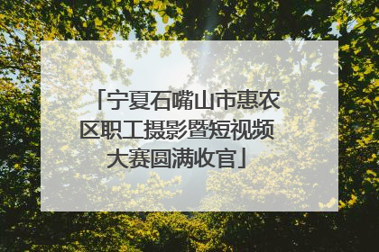 宁夏石嘴山市惠农区职工摄影暨短视频大赛圆满收官