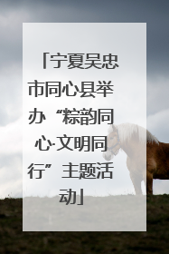 宁夏吴忠市同心县举办“粽韵同心·文明同行”主题活动