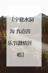 宁夏水洞沟 九点音乐节激情开唱