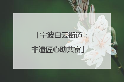 宁波白云街道：非遗匠心助共富