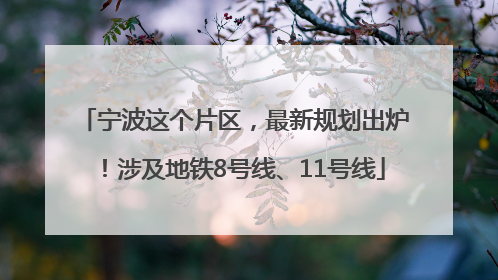 宁波这个片区，最新规划出炉！涉及地铁8号线、11号线