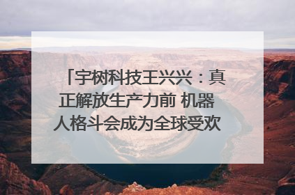 宇树科技王兴兴：真正解放生产力前 机器人格斗会成为全球受欢迎的赛事｜科技观察