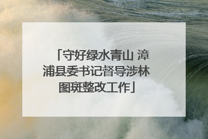 守好绿水青山 漳浦县委书记督导涉林图斑整改工作