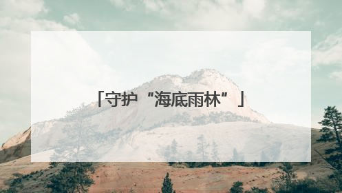 守护“海底雨林”