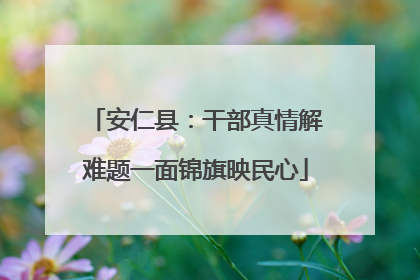 安仁县：干部真情解难题一面锦旗映民心