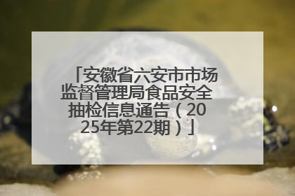 安徽省六安市市场监督管理局食品安全抽检信息通告（2025年第22期）
