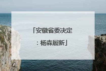 安徽省委决定：杨森履新