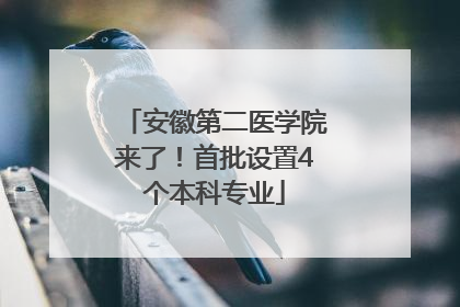 安徽第二医学院来了！首批设置4个本科专业
