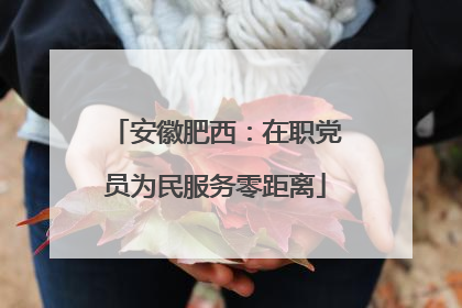 安徽肥西：在职党员为民服务零距离