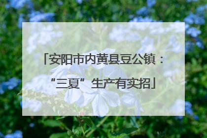 安阳市内黄县豆公镇：“三夏”生产有实招