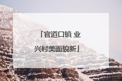 官道口镇 业兴村美面貌新