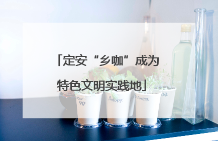 定安“乡咖”成为特色文明实践地