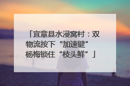 宜章县水浸窝村：双物流按下“加速键” 杨梅锁住“枝头鲜”