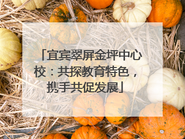 宜宾翠屏金坪中心校：共探教育特色，携手共促发展