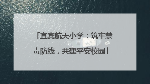宜宾航天小学：筑牢禁毒防线，共建平安校园