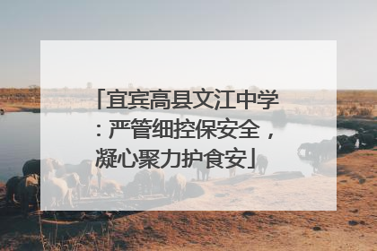 宜宾高县文江中学：严管细控保安全，凝心聚力护食安