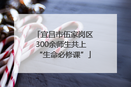 宜昌市伍家岗区300余师生共上“生命必修课”