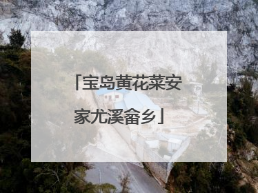 宝岛黄花菜安家尤溪畲乡
