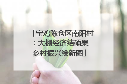 宝鸡陈仓区南阳村：大棚经济结硕果 乡村振兴绘新图