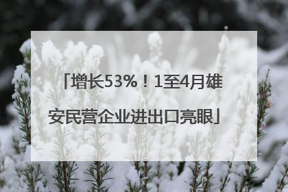增长53%！1至4月雄安民营企业进出口亮眼