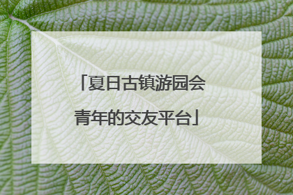 夏日古镇游园会 青年的交友平台