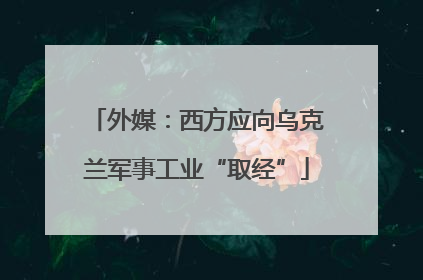 外媒：西方应向乌克兰军事工业“取经”